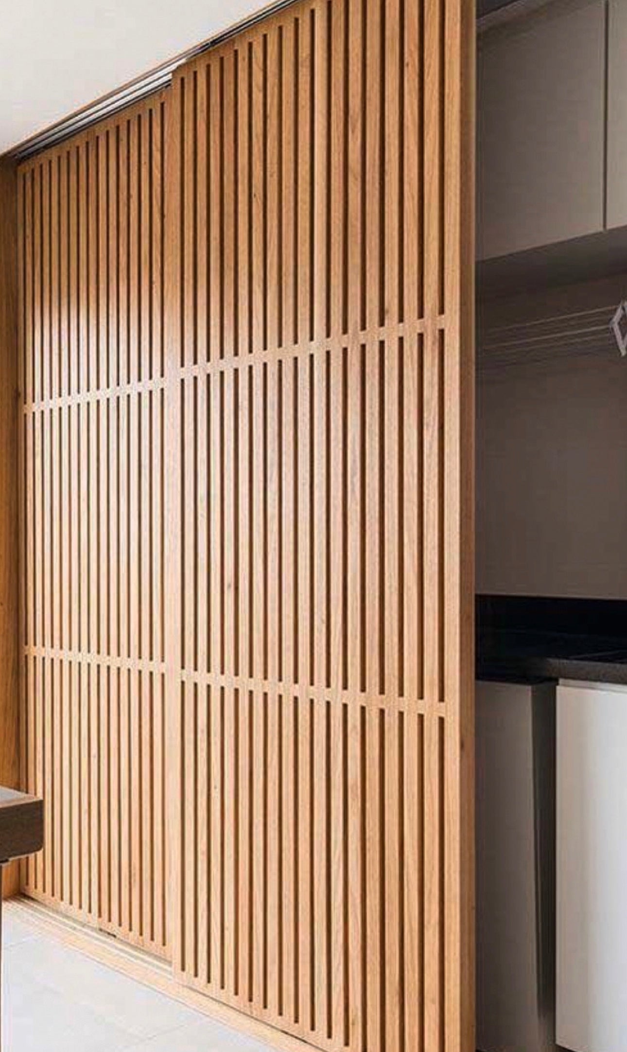 The Ventilated Rakesh Door