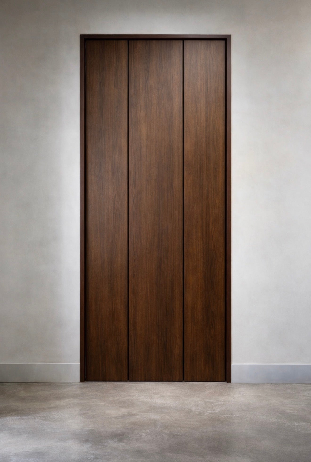 Vector Linear Meridian Door